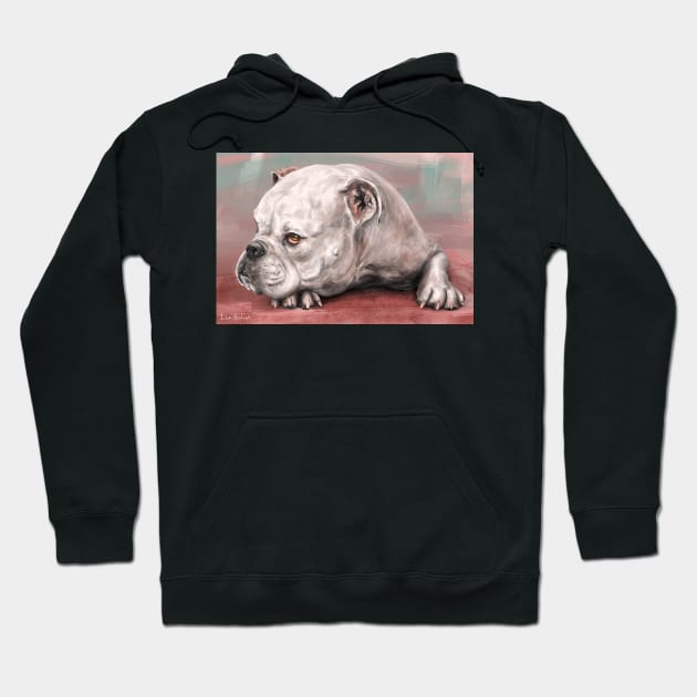 Painting of a White Bulldog Lying on the Floor. Red, Turquoise Background Hoodie by ibadishi